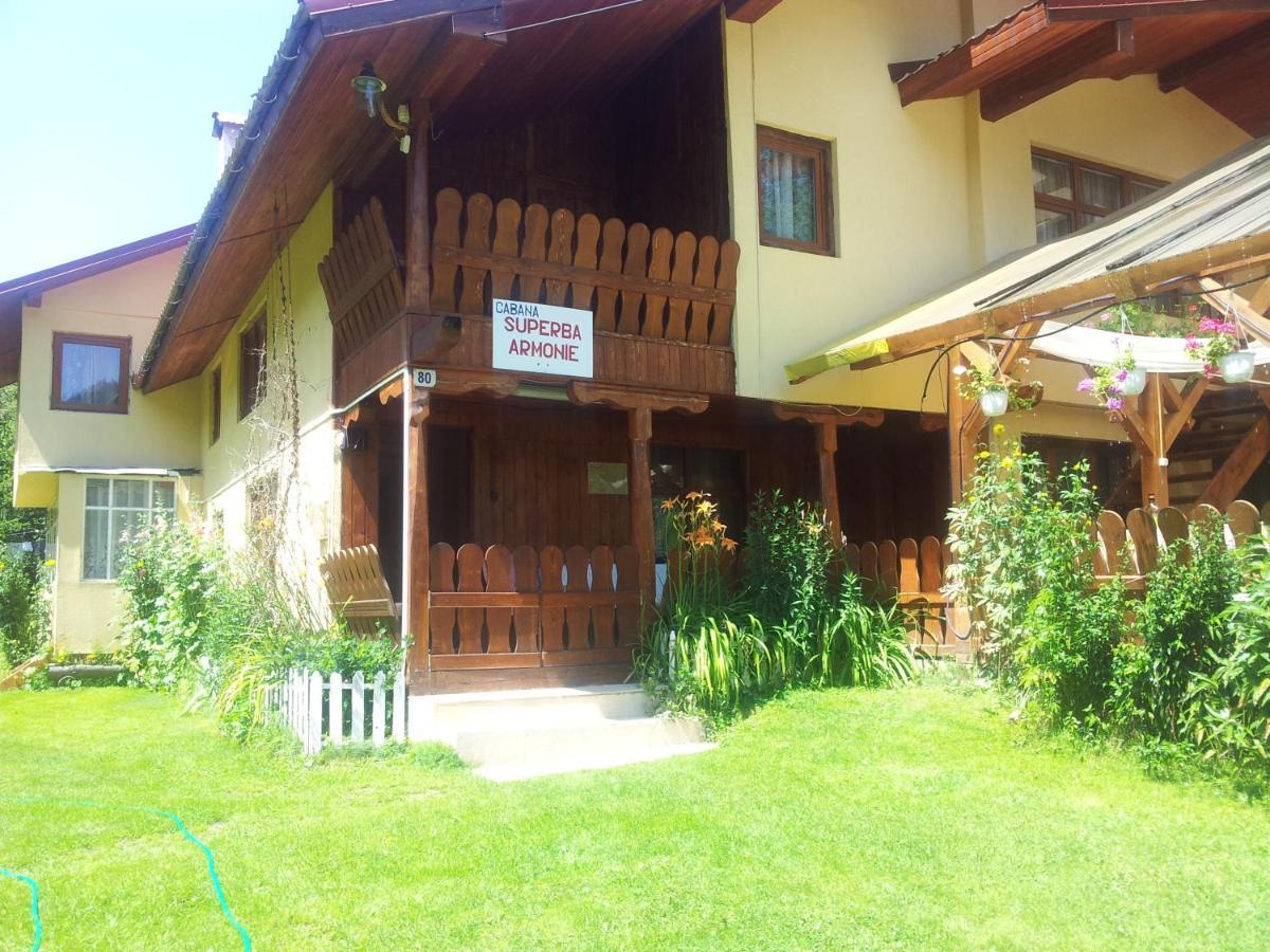 Cabana Suprema Armonie Dîmbovicioara Esterno foto