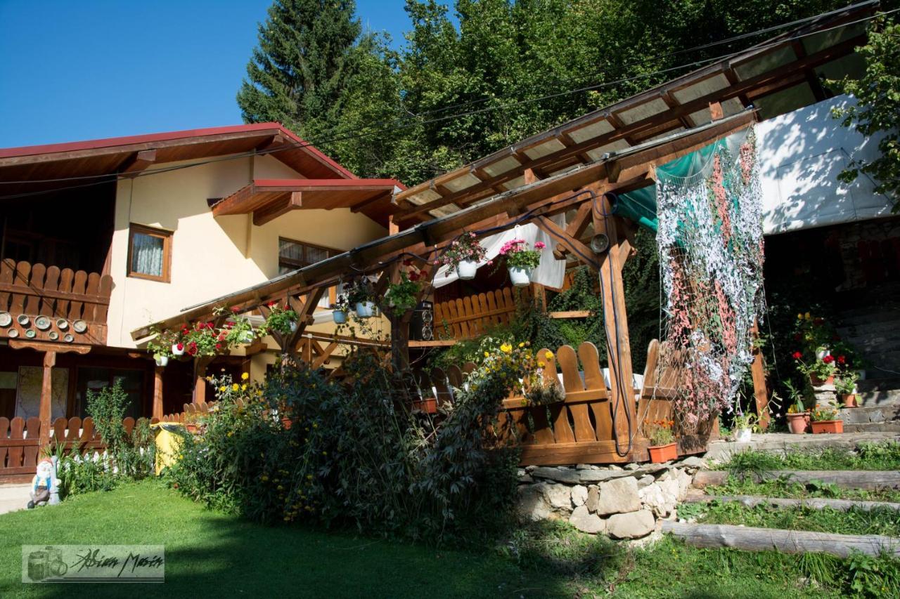 Cabana Suprema Armonie Dîmbovicioara Esterno foto